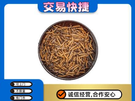 西山区回收散虫草